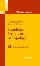 Simplicial Structures in Topology