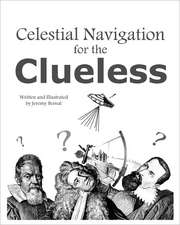 Celestial Navigation for the Clueless: A True Life Journey of Child Abuse, Alcohol and Drug Addiction.