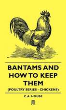 Bantams and How to Keep Them (Poultry Series - Chickens)