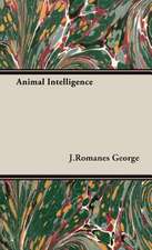 Animal Intelligence