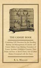 The Canary Book