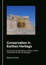 Conservation in Earthen Heritage: Assessment and Significance of Failure, Criteria, Conservation Theory, and Strategies