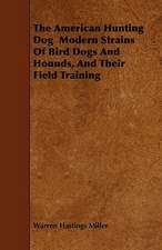 The American Hunting Dog Modern Strains Of Bird Dogs And Hounds, And Their Field Training