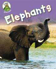 Froglets: Learners: Elephants