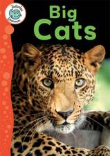 Lynch, A: Tadpoles Learners: Big Cats