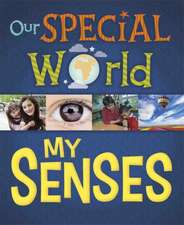 OUR SPECIAL WORLD MY SENSES