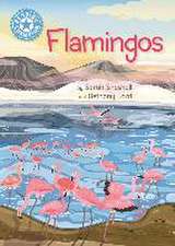 Snashall, S: Reading Champion: Flamingos