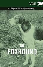 The Foxhound - A Complete Anthology of the Dog