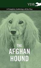 The Afghan Hound - A Complete Anthology of the Dog -