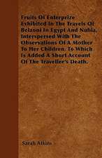 Fruits of Enterprize Exhibited in the Travels of Belzoni in Egypt and Nubia, Interspersed with the Observations of a Mother to Her Children. to Which