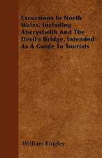 Excursions In North Wales, Including Aberystwith And The Devil's Bridge, Intended As A Guide To Tourists