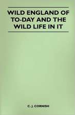 Wild England of To-Day and the Wild Life in It