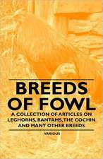 Breeds of Fowl - A Collection of Articles on Leghorns, Bantams, the Cochin and Many Other Breeds