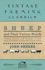 Sheep and Their Various Breeds - Containing Information on the Lincolnshire, the Saxon Merino, the Southdown and Many Other Varieties of Sheep