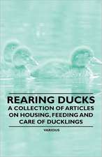 Rearing Ducks - A Collection of Articles on Housing, Feeding and Care of Ducklings