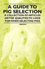 A Guide to Pig Selection - A Collection of Articles on the Qualities to Look for When Selecting Pigs