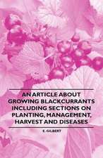 An Article about Growing Blackcurrants Including Sections on Planting, Management, Harvest and Diseases