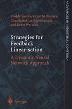 Strategies for Feedback Linearisation: A Dynamic Neural Network Approach