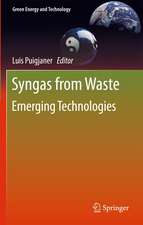 Syngas from Waste: Emerging Technologies