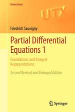 Partial Differential Equations 1