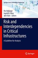 Risk and Interdependencies in Critical Infrastructures: A Guideline for Analysis