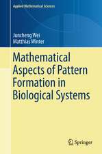 Mathematical Aspects of Pattern Formation in Biological Systems