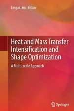 Heat and Mass Transfer Intensification and Shape Optimization: A Multi-scale Approach