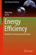 Energy Efficiency: Benefits for Environment and Society