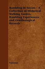 Rambling in Sussex - A Collection of Historical Walking Guides, Rambling Experiences and Ornithological Records