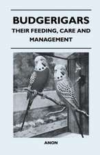 Budgerigars - Their Feeding, Care and Management