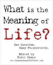 What Is the Meaning of Life?: One Question. Many Perspectives.