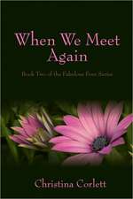 When We Meet Again: Book Two of the Fabulous Four Series