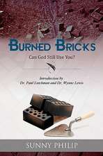 Burned Bricks: Can God Still Use You?