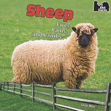 Sheep: Ewes, Rams, and Lambs