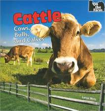 Cattle: Cows, Bulls, and Calves