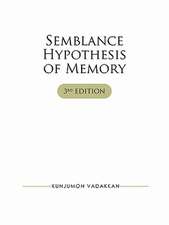 Semblance Hypothesis of Memory