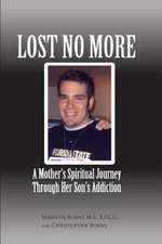 Lost No More...a Mother's Spiritual Journey Through Her Son's Addiction