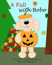 A Fall with Bobo