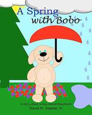 A Spring with Bobo