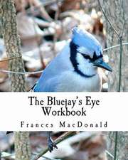 The Bluejay's Eye Workbook