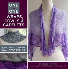 One + One: 29 Projects from Just Two Skeins