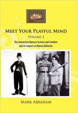 Meet Your Playful Mind Volume 2