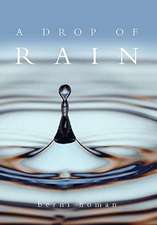 Homan, B: Drop of Rain