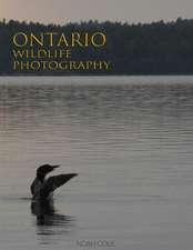 Ontario Wildlife Photography