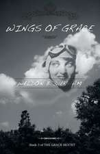 Wings of Grace - Book 3 of the Grace Sextet: A New Kind of Math Puzzle