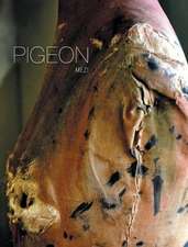 Pigeon