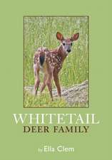 Whitetail Deer Family