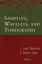 Sampling, Wavelets, and Tomography