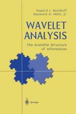 Wavelet Analysis: The Scalable Structure of Information