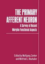 The Primary Afferent Neuron: A Survey of Recent Morpho-Functional Aspects